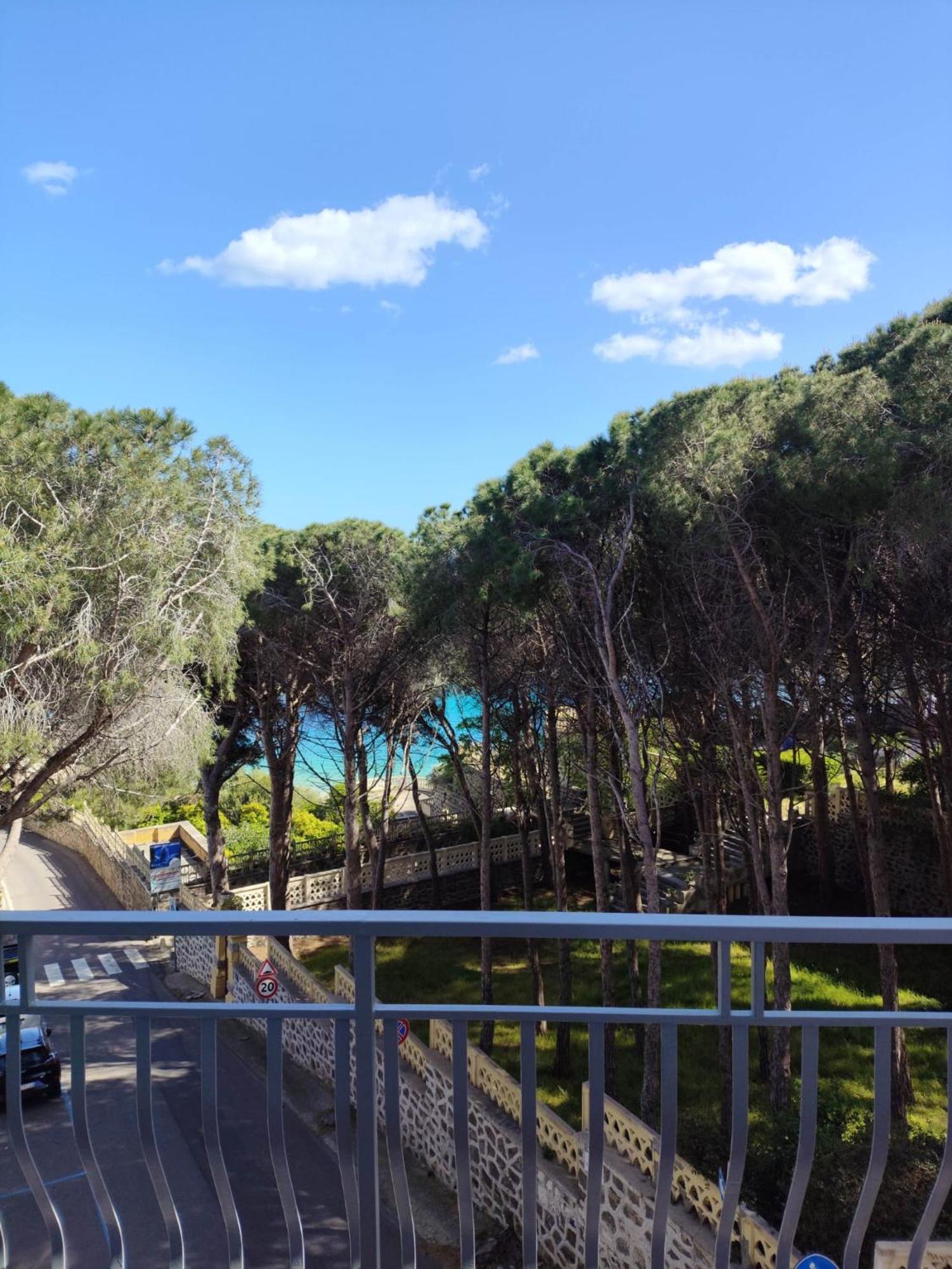 Hotel Piccolo Nuova Gestione 2*